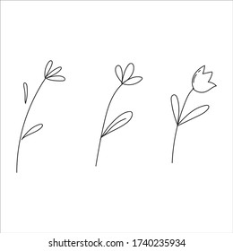 nature flat cute isolated hand drawn set flowers