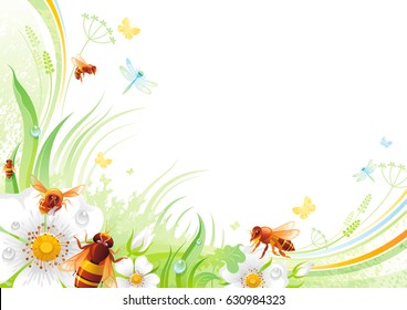 Nature flower background. Spring summer season floral pattern. Mothers day, Birthday, Wedding. White Rose hip, grass, leaf, flying honey bee, grunge isolated vector illustration. Happy greeting card