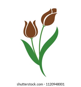 Nature flower brown tulip, vector botanic garden floral leaf plant.
