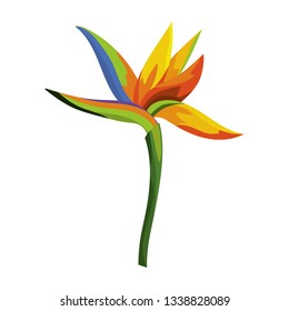 nature flower cartoon