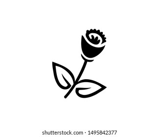 nature flower and leaves icon vector isolated