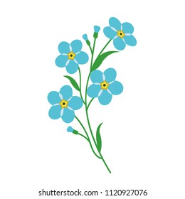 Nature flower light blue forget me not, vector botanic garden floral leaf plant.