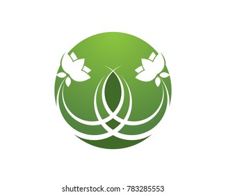 Nature flower logo design template