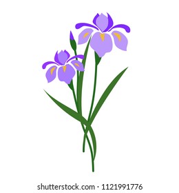 Nature flower purple iris, vector botanic garden floral leaf plant.