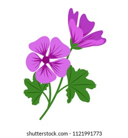 Nature flower violet mallow, vector botanic garden floral leaf plant.