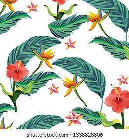 nature flowers cartoon