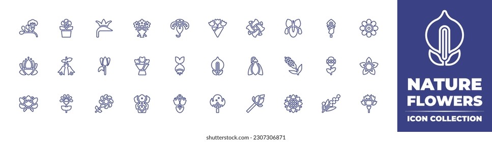 Nature flowers line icon collection. Editable stroke. Vector illustration. Containing flower, flower pot, paradise flower, flower bouquet, bouquet, jasmine, lily, daisy, lotus, bulb, caladium.