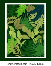 nature foliage botancial leaves background