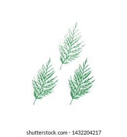 Nature foliage collection. Vector stamp leaves set. Objects isolated on white background. Set of autumn silhouette monochrome leaves of trees, flowers and herbs. Nature texture for modern design.