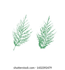 Nature foliage collection. Vector stamp leaves set. Objects isolated on white background. Set of autumn silhouette monochrome leaves of trees, flowers and herbs. Nature texture for modern design.