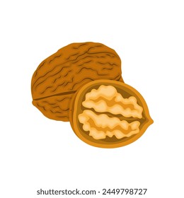 Nature food nuts walnut cartoon vector isolated illustration