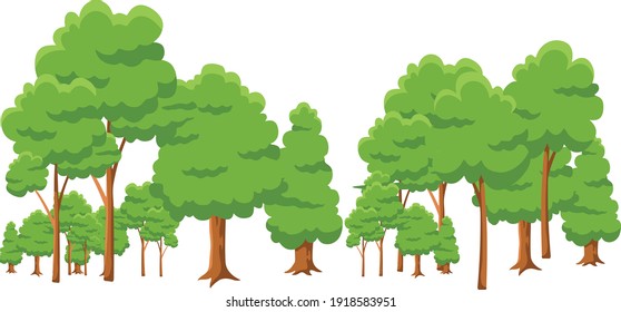 Nature and forest Green trees vector