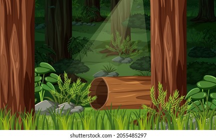 Nature forest landscape background illustration