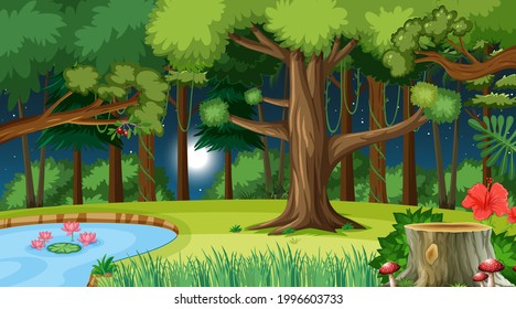 Nature Forest At Night Scene With Many Trees Illustration