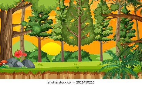 Nature forest at sunset time scene illustration