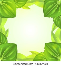 nature frame background