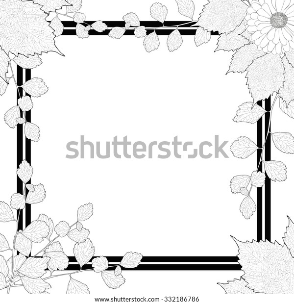 Nature Frame Black White Branches Leaves Stock Vector Royalty