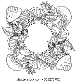 Nature frame with Grass, fern, mushrooms in doodle style. Floral, ornate, decorative, tribal vector design elements. Black and white monochrome background. Zentangle hand drawn coloring book page