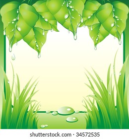 Nature frame. (vector illustration)