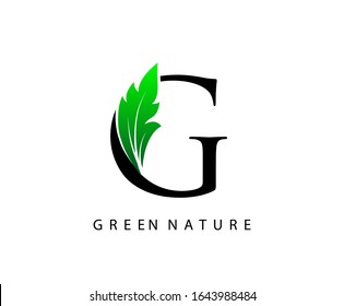 Nature G Letter Green Leaf Logo Stock Vector (Royalty Free) 1643988484 ...