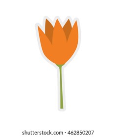 Nature garden decoraton concept represented by flower icon. Isolated and flat illustration