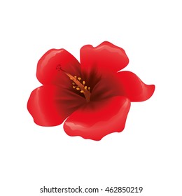 Nature garden decoraton concept represented by flower icon. Isolated and flat illustration