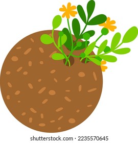 Nature garden ground with growing plant, vector illustration. Agriculture spring sprout flat icon, small seedling natural flower isolated on white.