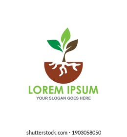 nature garden logo vector image