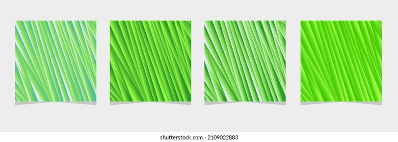 Nature gradient backdrop. Abstract green blurred background. Ecology concept for your graphic design, banner or poster. Vector illustration.
