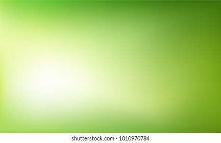 Nature gradient backdrop with bright sunlight. Abstract green blurred background. Ecology concept for your graphic design, banner or poster. Vector illustration.