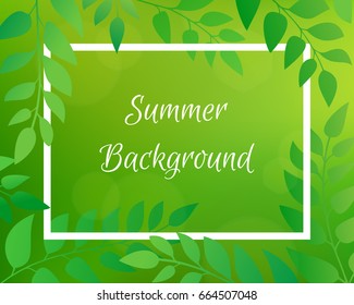 Nature gradient backdrop with foliage and rectangular frame. Green horizontal blurred background with bokeh. It can be used for poster, sale banner, packaging.