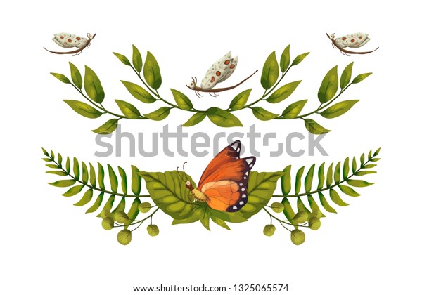 Nature graphics vector dividers with bugs. 3d\
insects and leaves. Tropic card, elements for frames and print\
decoration. Isolated spring\
set.