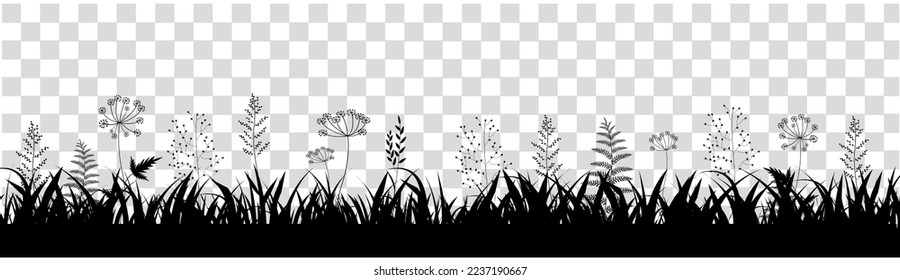 Nature Grass Border Isolated Transparent Background , Vector Illustration