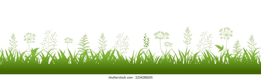 Nature Grass Border Isolated White Background , Vector Illustration