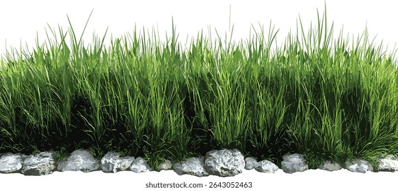 Nature grass cut out, greenery meadow, transparent background, landscaping eco friendly design, outdoor scenery, fresh natural background, green grass, sustainable nature scene