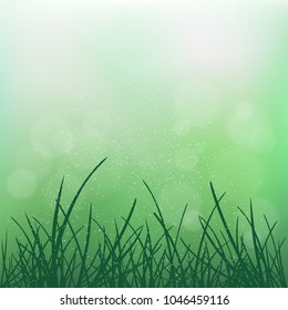 Nature grass on blur green bokeh background. Natural blurred spring or summer abstract flora plant design backdrop. Agriculture farm empty wallpaper