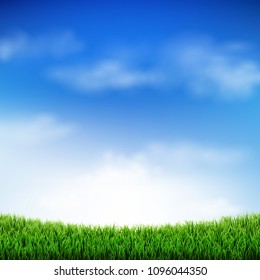 Nature Grass Panorama With Gradient Mesh, Vector Illustration