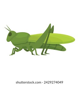 Nature grasshopper icon cartoon vector. Art ant color. Insect natural