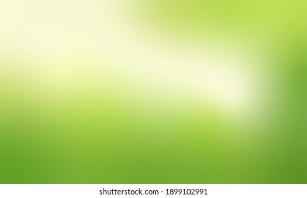 Nature green background with bright sunlight. Vector illustration