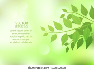 
Nature green background with green spring leaves. on sunshine and bokeh. Vector illustration. illustration,template,banners,Wallpaper,flyers, invitation, posters, brochure.