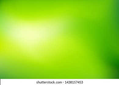 Nature Green blurred background. Abstract gradient with light backdrop. Vector illustration. Ecology concept for your graphic design, banner, poster, wallpapers