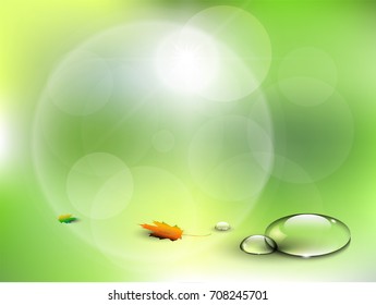 Nature green blurred background with water drops and maple leaves. Can be used for health care, fresh water, pure environment, cosmetics items...