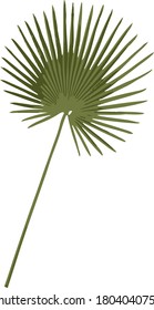 naturgrüner exotischer Blattvektor