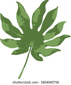 naturgrüner exotischer Blattvektor