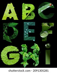 nature green image based alphabet design