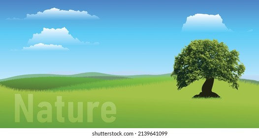 nature with green nature landscape with clouds in the sky trees forest and terrestrial plants web banner for nature and global warming concept vector illustration