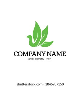nature green leaf bird logo concept vector illustration