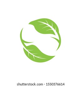 nature green leaf element vector icon. green leaves vector symbol