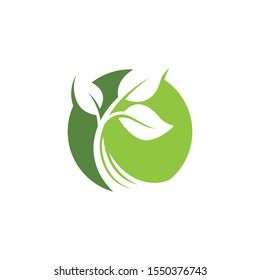 nature green leaf element vector icon. green leaves vector symbol