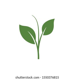 nature green leaf element vector icon. green leaves vector symbol